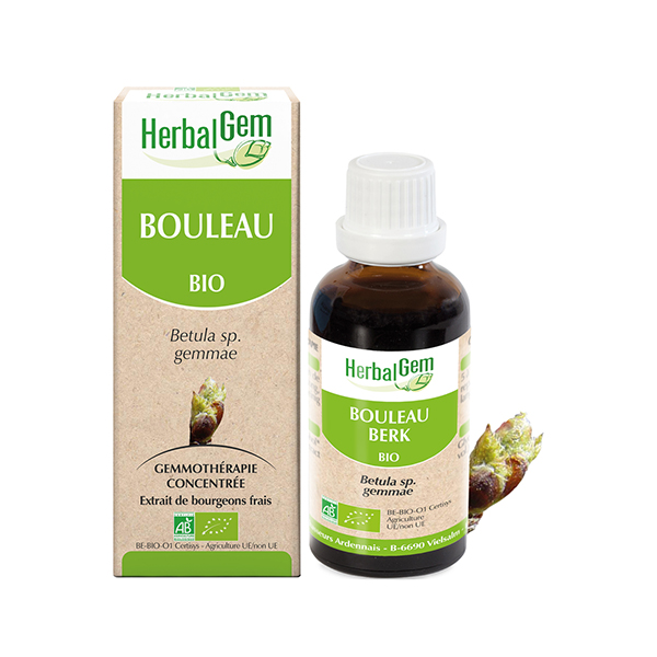 Macérat Concentré Bouleau Bio 30ml