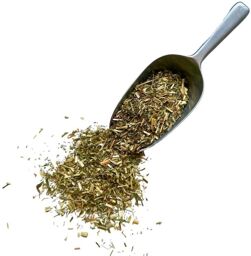 Tisane Galéga plante Galéga officinalis.