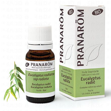 Huile essentielle Eucalyptus Radie bio flacon 10ml