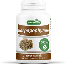 Harpagophytum - 600 mg - 250 comprimés