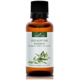 Huile Essentielle Bio Eucalyptus Radiata 30ml