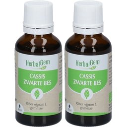 - Cassis Bio - Complément Alimentaire - Extrait De Bourgeon Frais - Pour Articulations, 30 ml