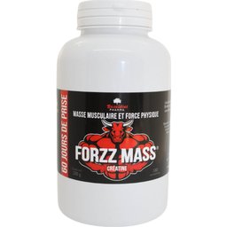 Forzz Mass 180comp