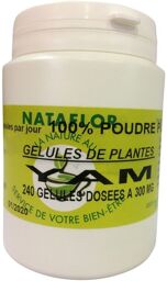GELULES YAM 240 gélules dosées à 300 mg.