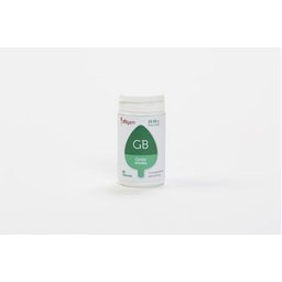 Ginkgo Biloba 90caps