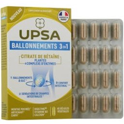Ballonnements 3en1 40 Gélules