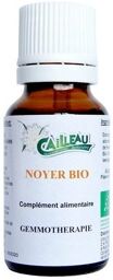 Noyer gemmothérapie BIO.