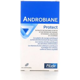 Androbiane Protect Caps 60