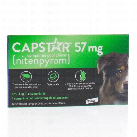 chien comprimés x6
