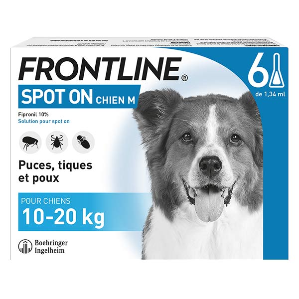 Spot on Chien M 6 pipettes