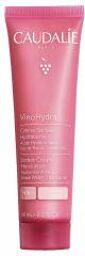 VinoHydra Crème Sorbet Hydratante Peaux Normales 60 ml - Tube 60 ml