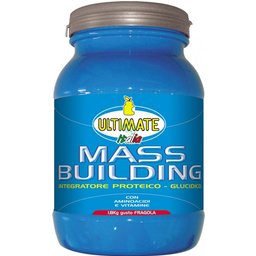 Mass Building Fraise 1.8kg