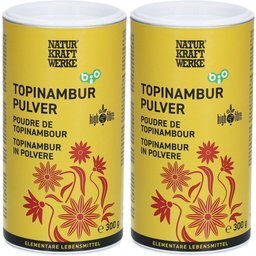 Poudre de topinambour bio