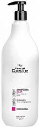Shampooing professionnel Color 1L