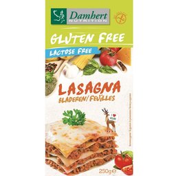Gluten Free Lasagna