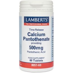 Calcium Pantothenate 500mg 60comp