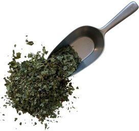 Tisane Ronce (Mûrier) feuille 1 KILO Rubus fructicosus