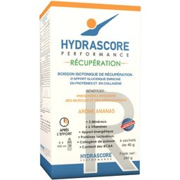 Performance Récupération Arôme Ananas 240g