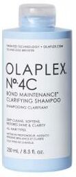 Shampoing Clarifiant Pour Cheveux 250 ml - Flacon 250 ml