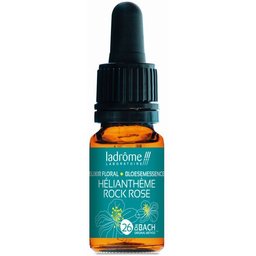 Ladrôme Hélianthème N°26