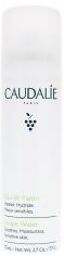 Eau de Raisin Apaise Hydrate 75 ml - Flacon Pressurisé 75 ml