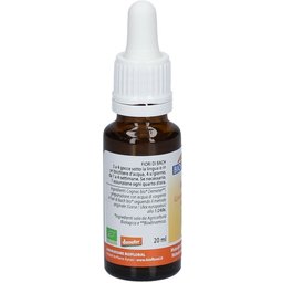 13 - Gorse - Ajonc - 20 ml