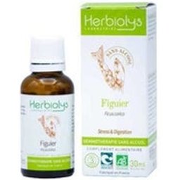 Bourgeons Figuier Sans Alcool 30ml