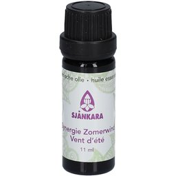 Synergie des Vents d'Eté