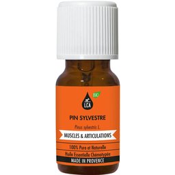 Huile Essentielle de Pin Sylvestre BIO 10ml