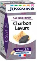 Charbon Levure Gaz Intestinaux 45 Gélules - Pot 45 gélules