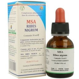 Msa Ribes Nigrum 50Ml