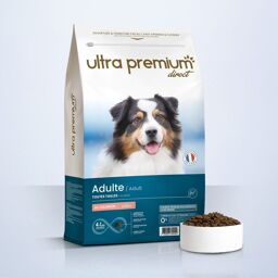 Croquettes Super Premium pour Chien Saumon et Riz