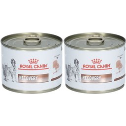 Royal Canin® Recovery Mousse ultra tendre Chien et Chat