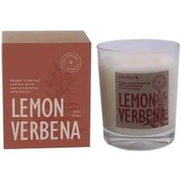 Vela Vaso Botvaslv Lemon Verbena 7,5x9cm 1ud