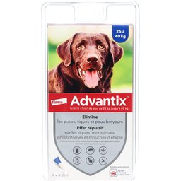 Grand chien de 25 kg - 40 kg