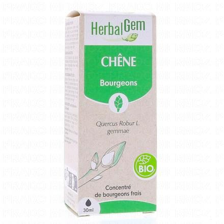 Concentré de bourgeons frais - Chêne bourgeon Bio 30ml
