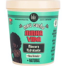 Meu Cacho Minha Vida Masque Capillaire Hydratant 450g