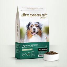 Croquettes Sans Céréales Chien Digestion Sensible Toutes Tailles