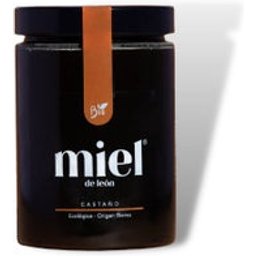 Miel de Châtaigne Eco 800g