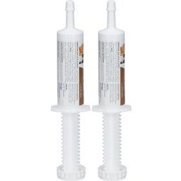 Clément Thékan Digeskan Pâte Orale