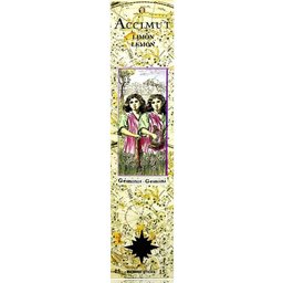 Gemini Horoscope Bâton d'encens 15pcs