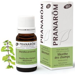 Pranarôm - Menthe Des Champs Bio - Huile Essentielle Chémotypée - Digestion - Pure Et Naturelle - Hect - 10 ml