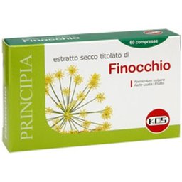 Fenouil Extrait Sec 60comp