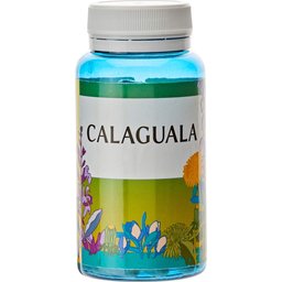 Calaguala 90comp