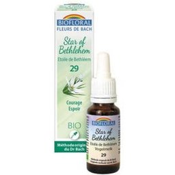 Elixir Etoile Bethl 20ml