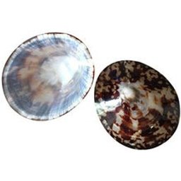 Contour Yeux Anti-Ride 10ml