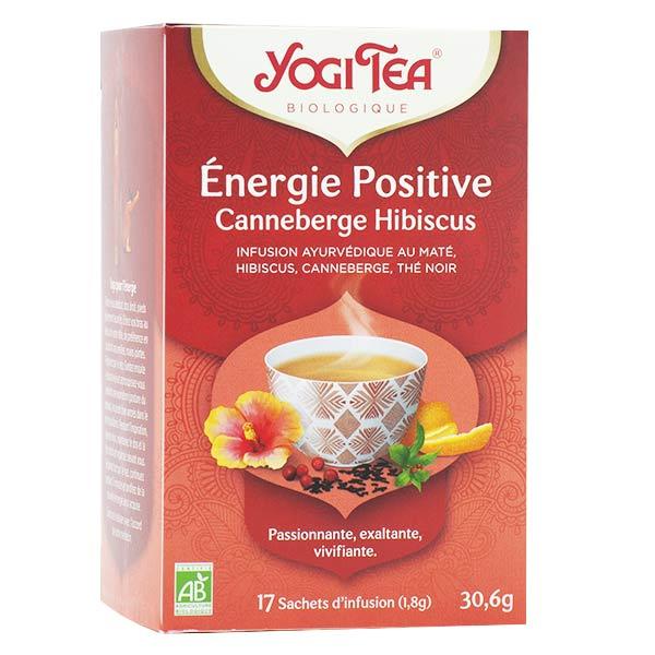 Energie Positive Canneberge Hibiscus 17 sachets