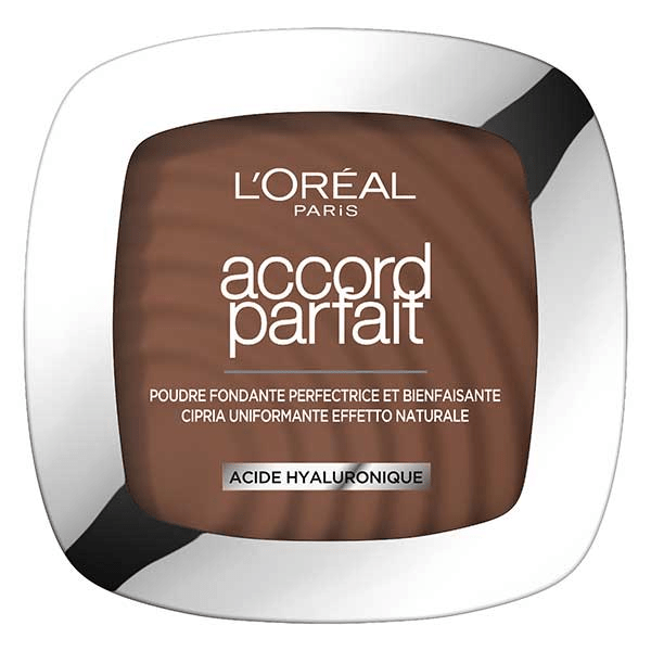 Accord Parfait Poudre Unifiante 11N Café Profond 9g