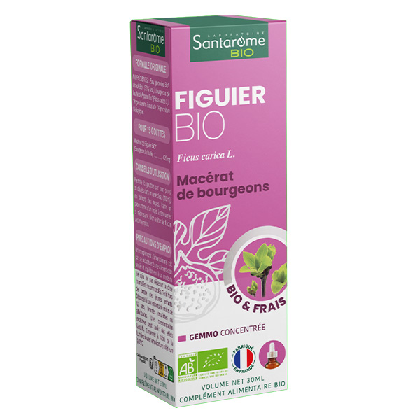 - Bourgeon Figuier Bio - Gémmothérapie - Flacon de 30ml