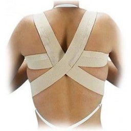 Dossier Normal T-1 75-85cm